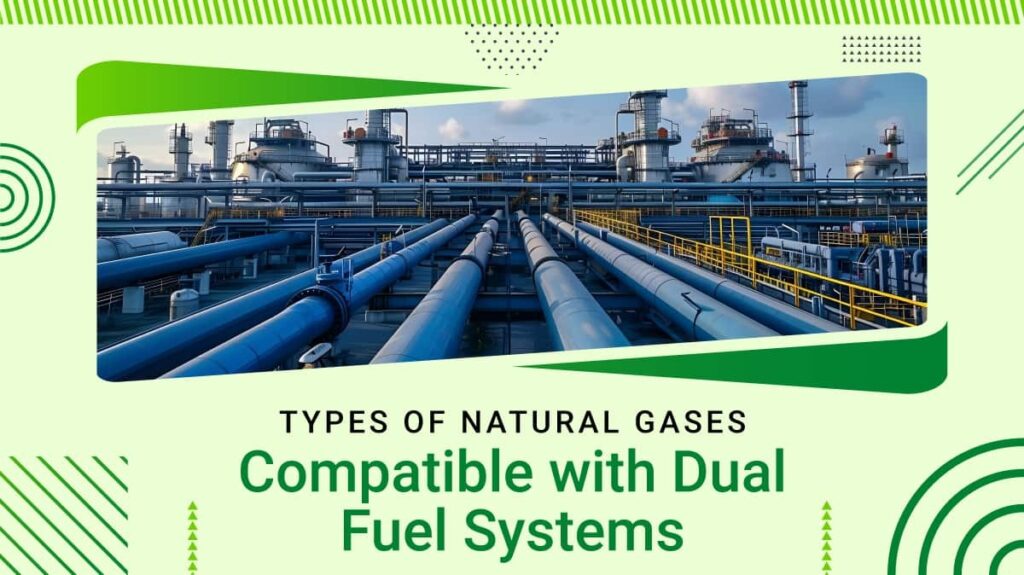 Types of natural gases compatible with dual fuel systems